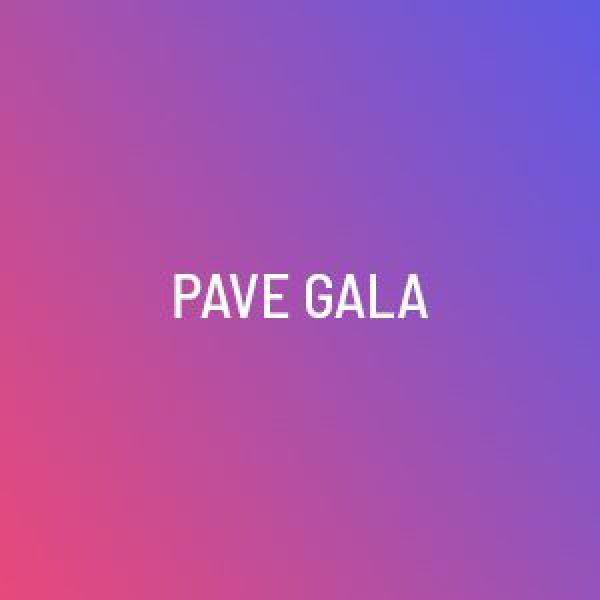 PAVE Gala
