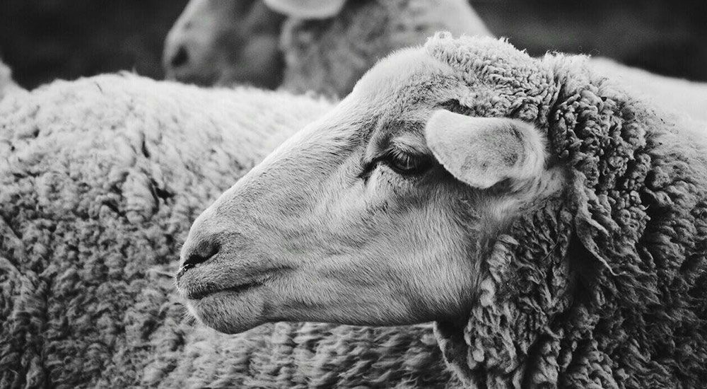 The Best New Retail in London – November 2025