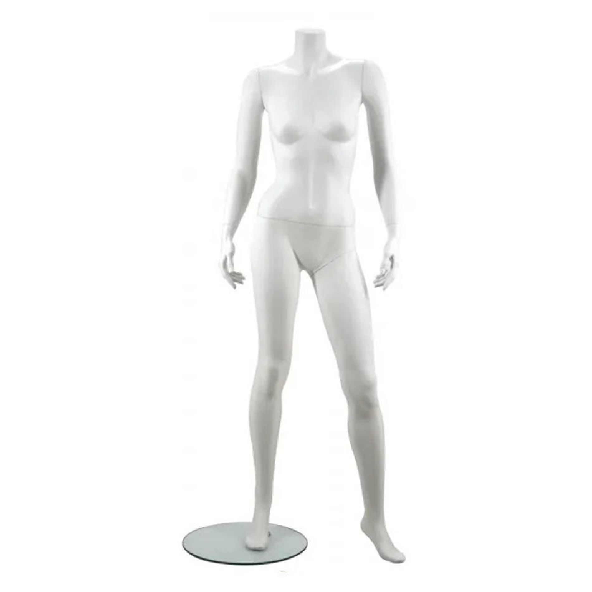 Female Torso Forms Gallery Image