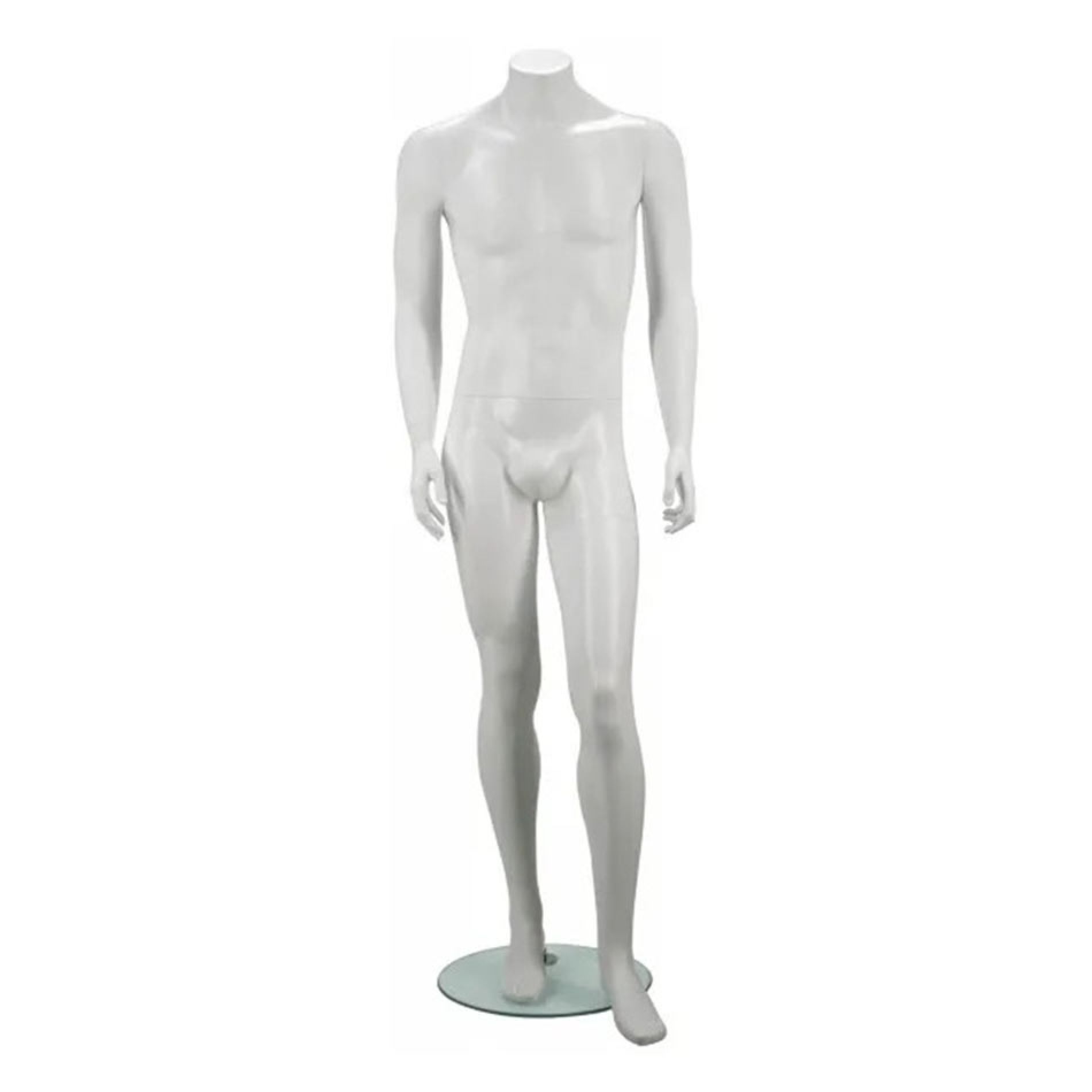 Male Torso Forms Gallery Image