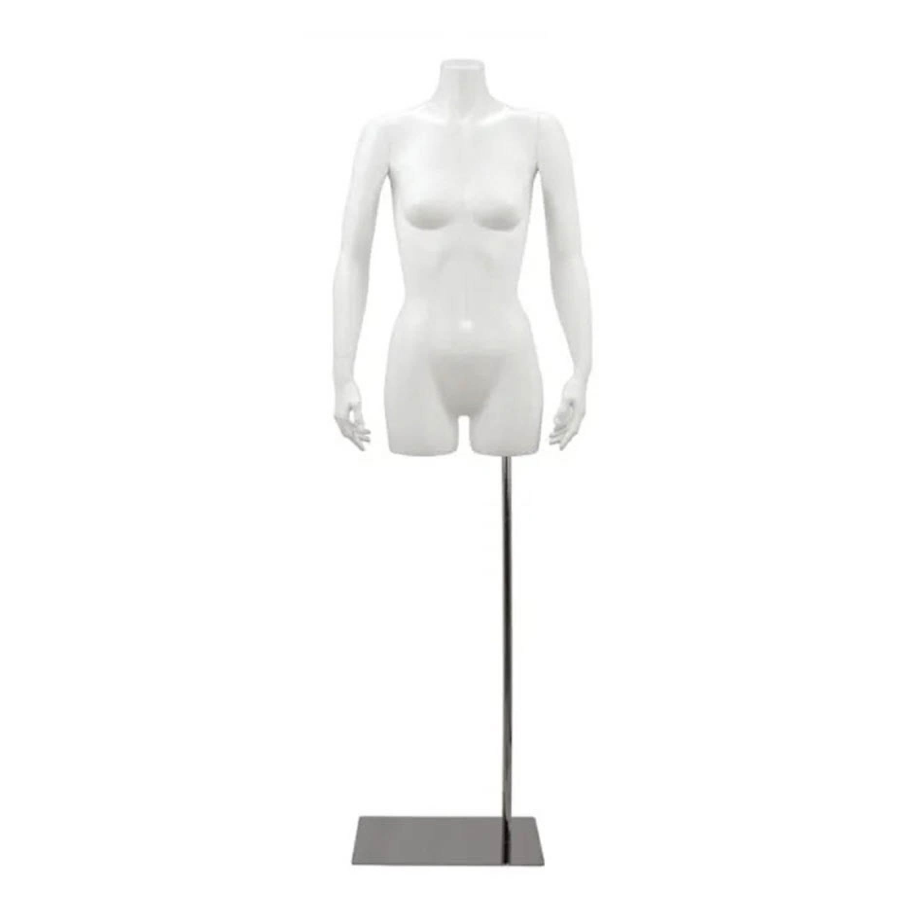 Female Torso Forms Gallery Image